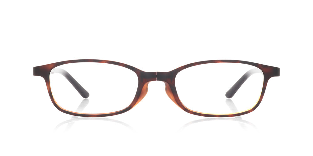 Reading Foldable U009 86