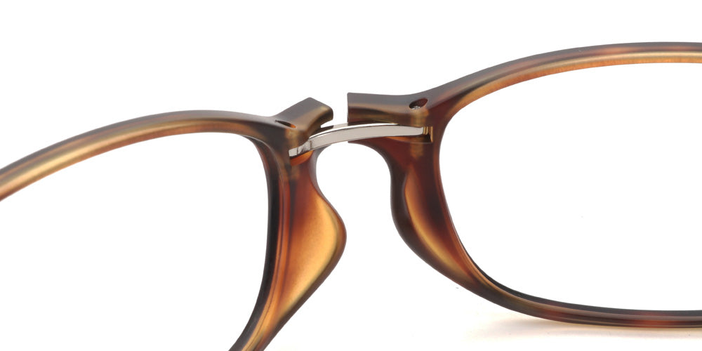 Reading Foldable U009 86