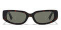 JINS TODAY 25FW Fashion SG 249 286