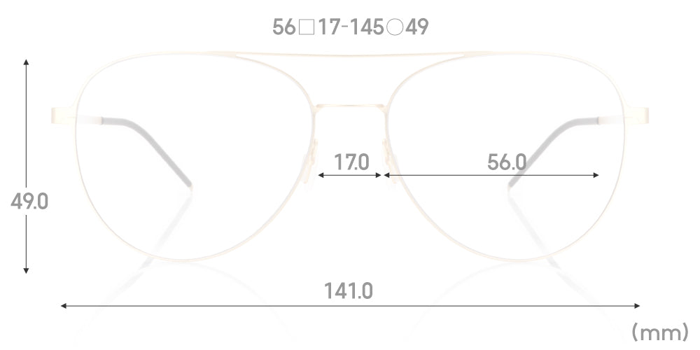 UMN-19S-136 95