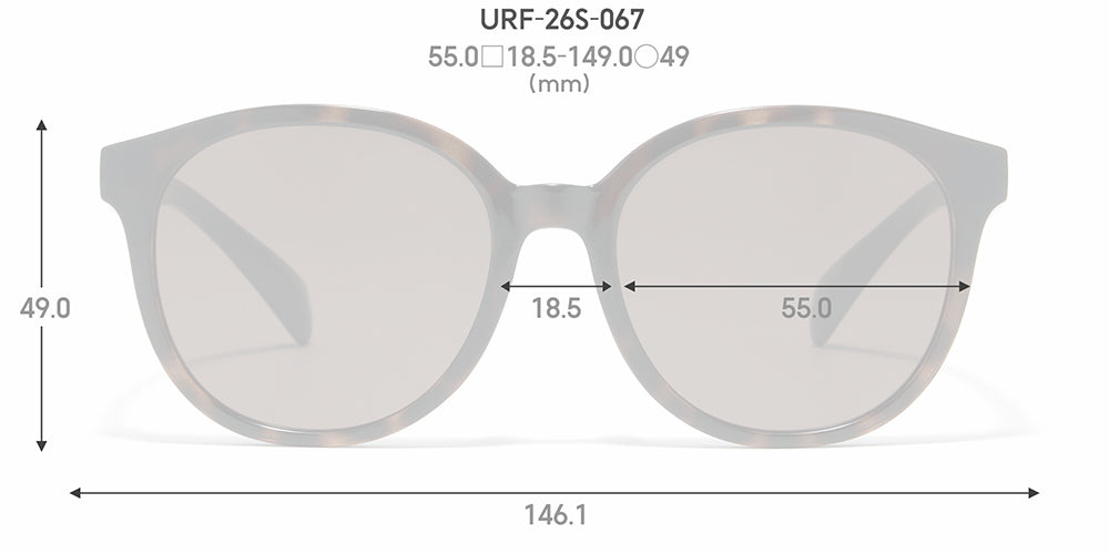 SG STANDARD 067