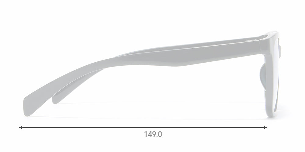 SG STANDARD 069 194