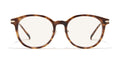 SG PHOTOCHROMIC 272